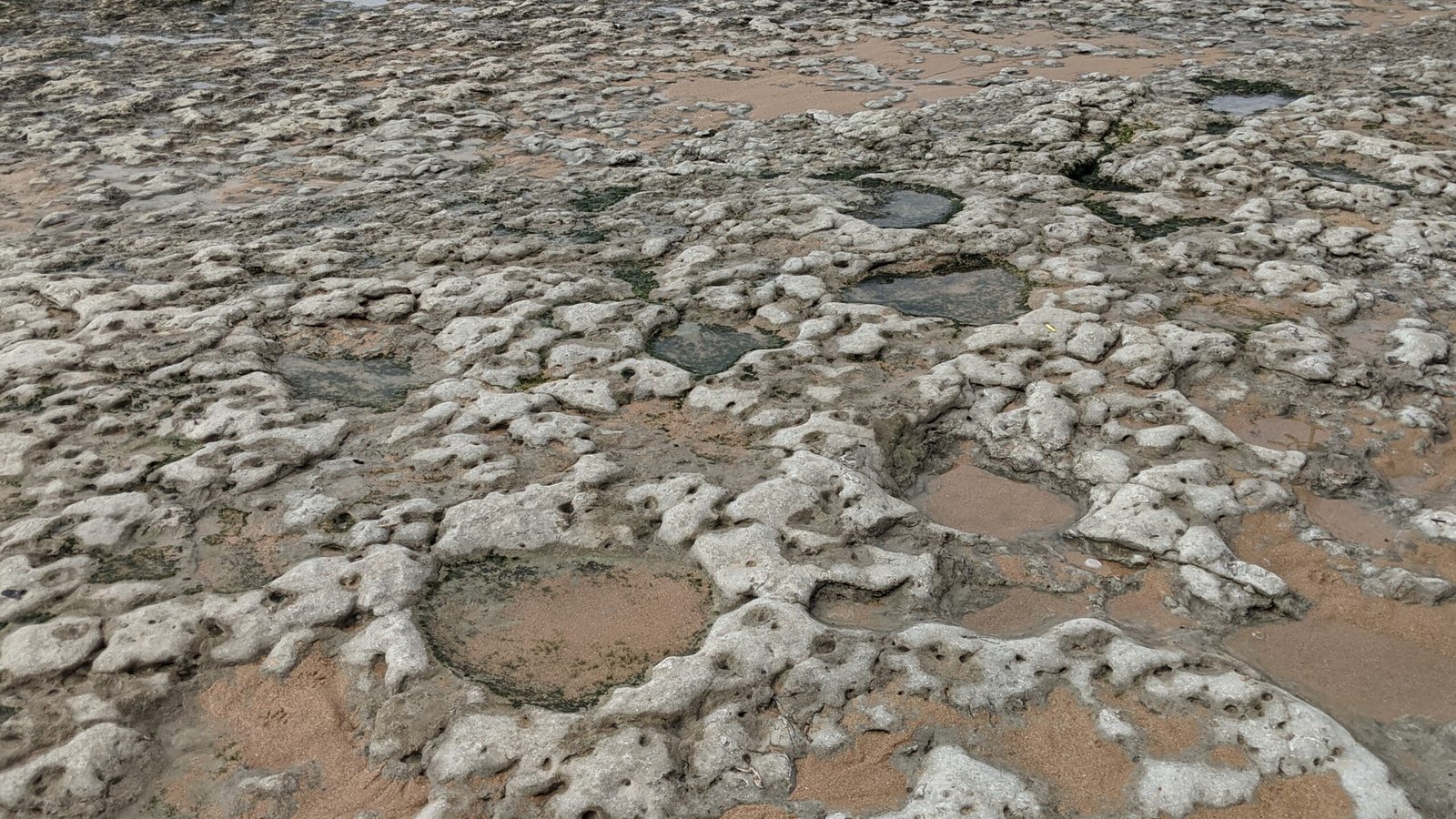 Dinosaur Footprints of Parede Beach