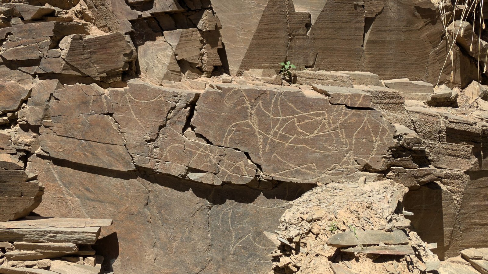 Fariseu Rock Art Site