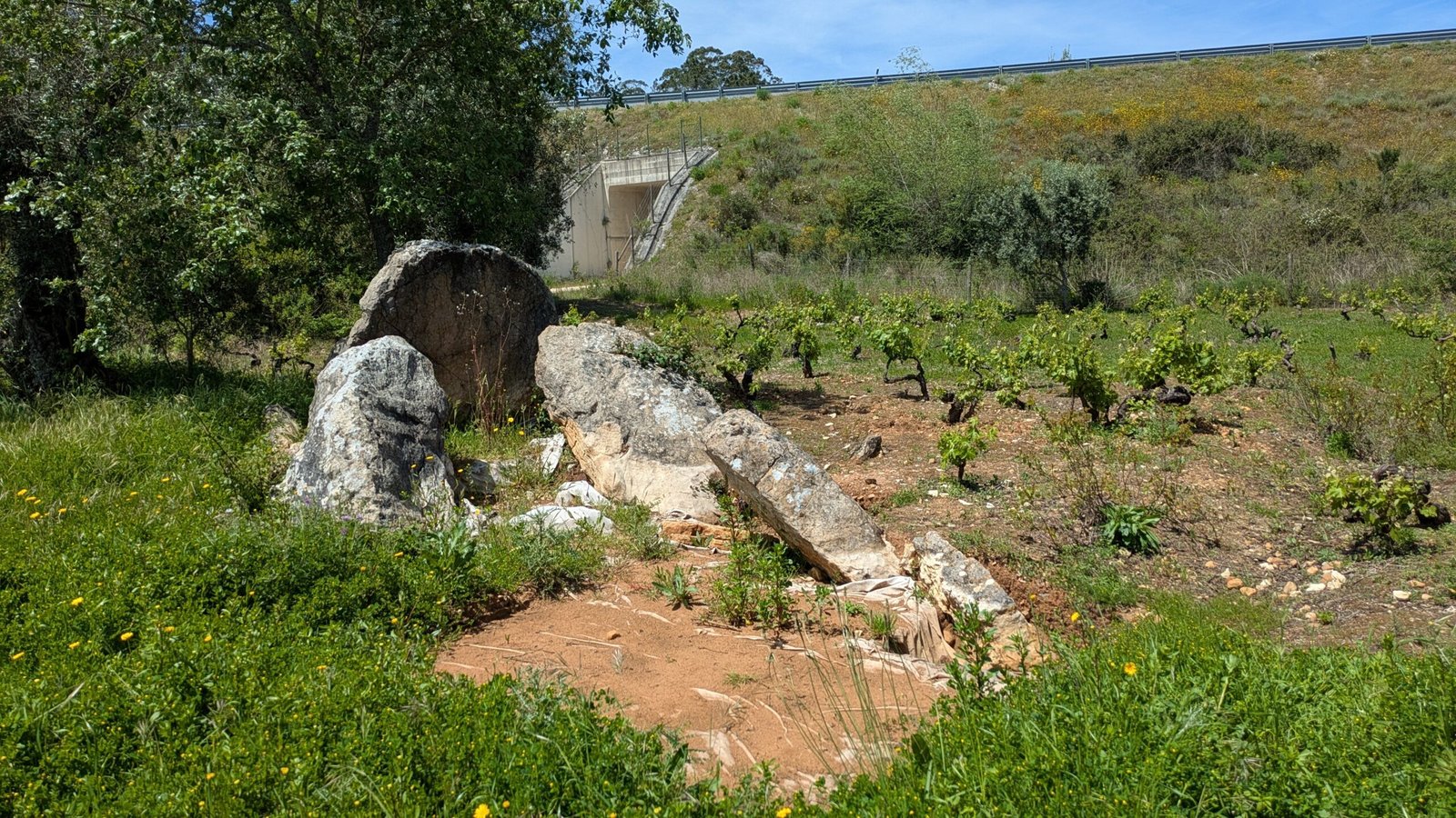 Anta de Azurrague