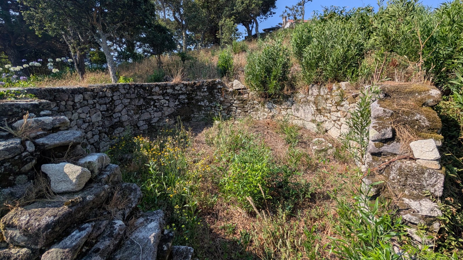 Castro de Santo António